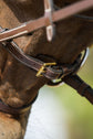 Anatomic Bridle Functional