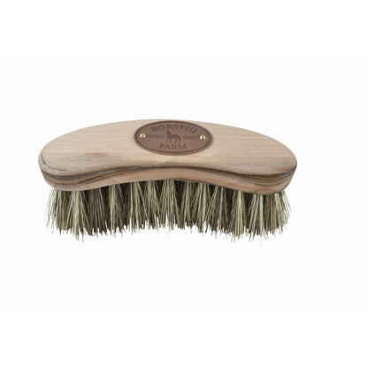 daily use horse brush