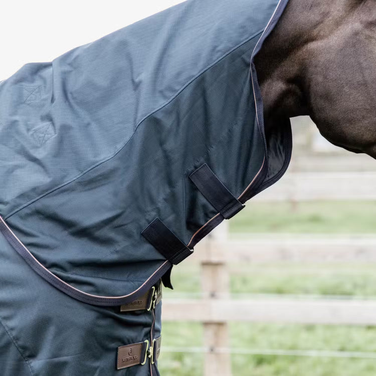 Horse fly and rain protection rug with neck coverage for outdoor turnout.