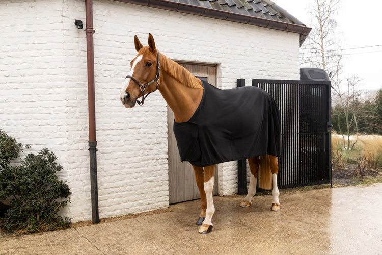 Breathable horse sheet with detachable surcingles for versatile use