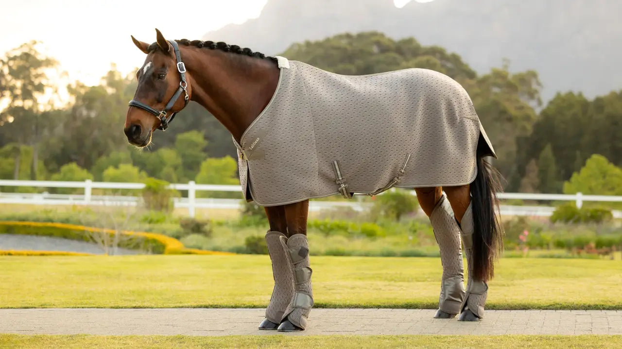 Horse wearing LeMieux Transport Rug