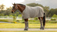 Horse wearing LeMieux Transport Rug