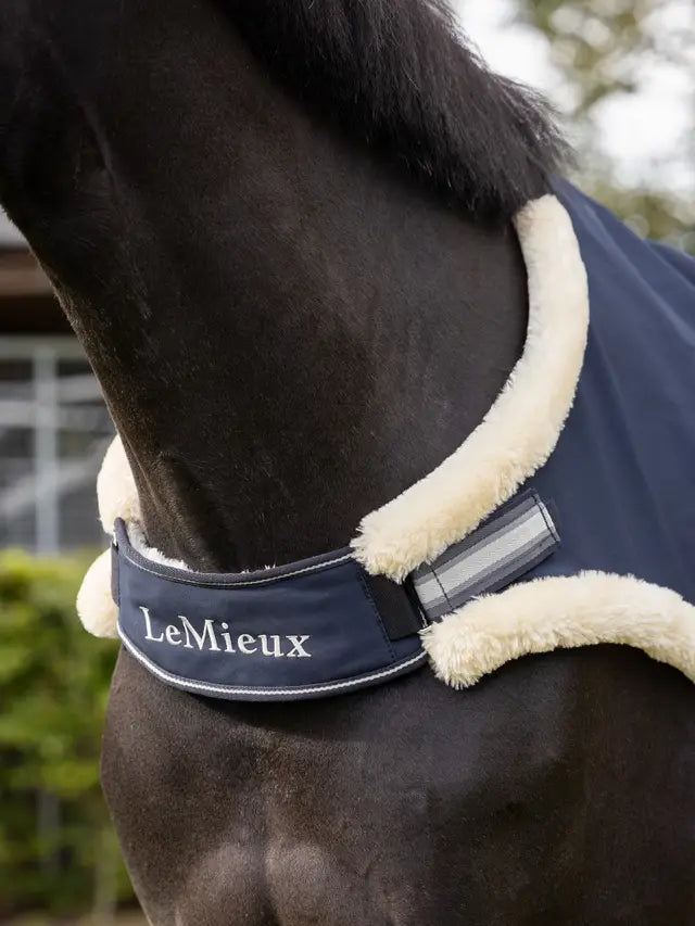 LeMieux training rug for chilly days