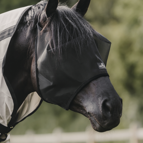 horse fly mask without ears