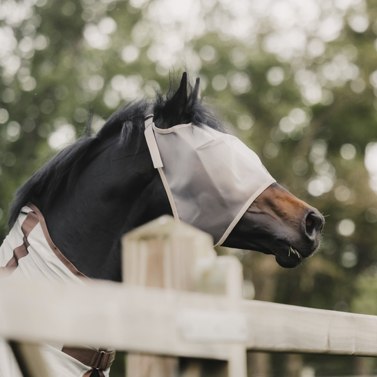 Fly mask without ears