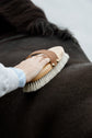 body horse brush