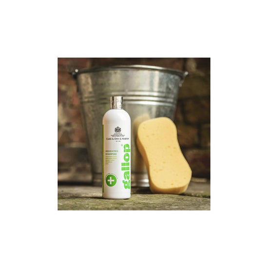 Antibacterial Shampoo Gallop