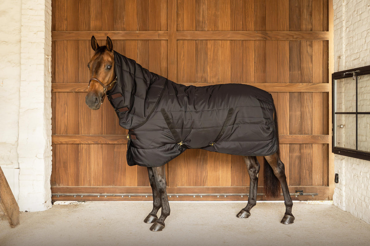 Classic horse stable rug with removable neck for adjustable coverage