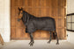 Classic horse stable rug with removable neck for adjustable coverage