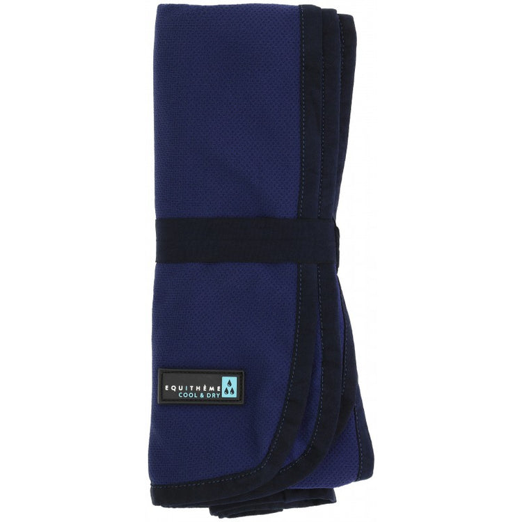 Cooling performance towel for horses