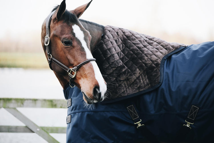 Warm Winter outdoor rugs for horses