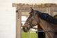 Double rope noseband for horses requiring additional control