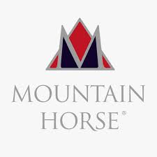 mountain horse equestrian