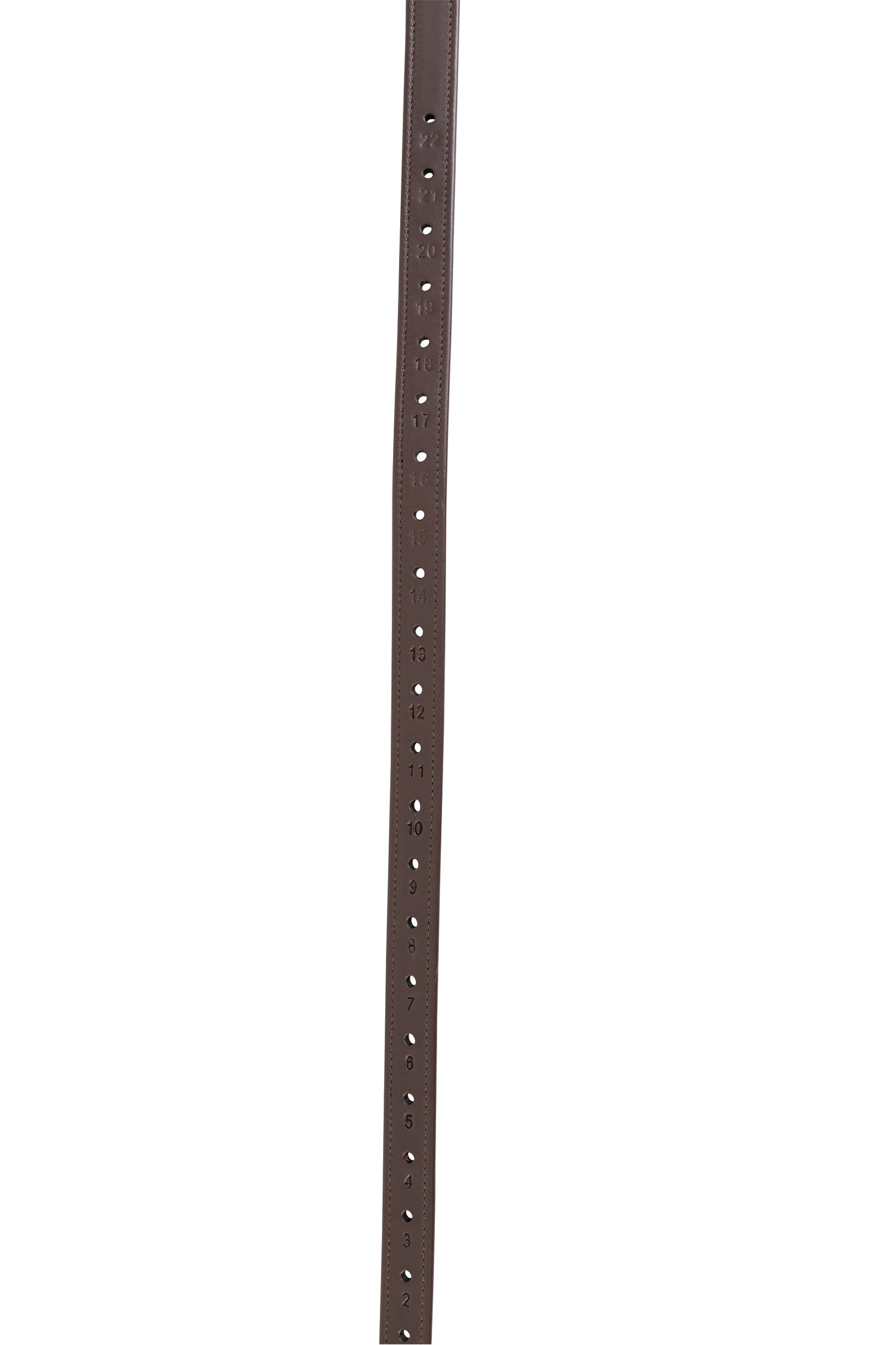 Long stirrups leathers