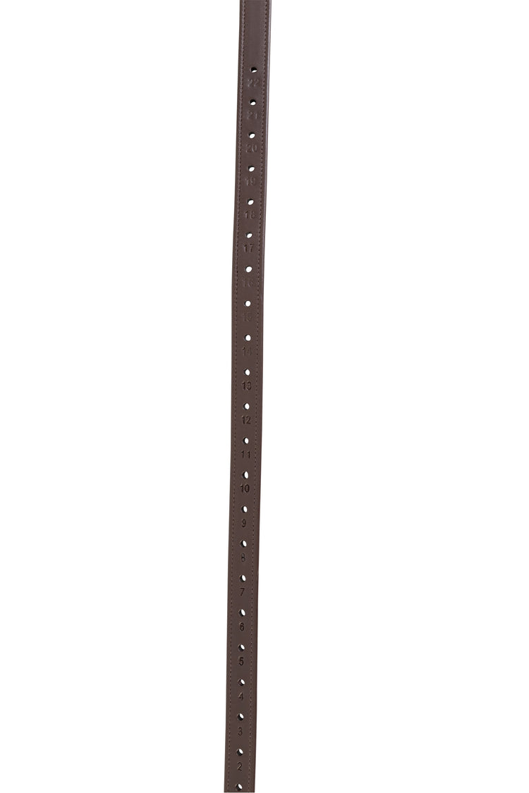 Long stirrups leathers