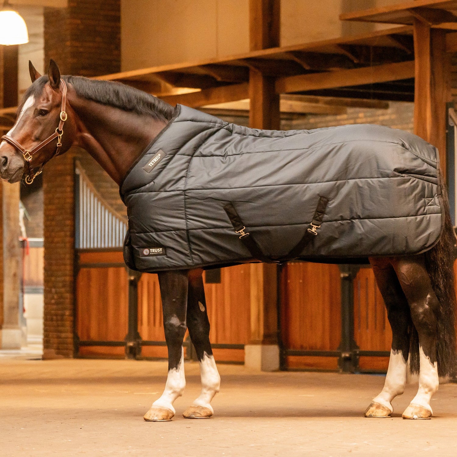Trust Tetris Stable Rug in black
