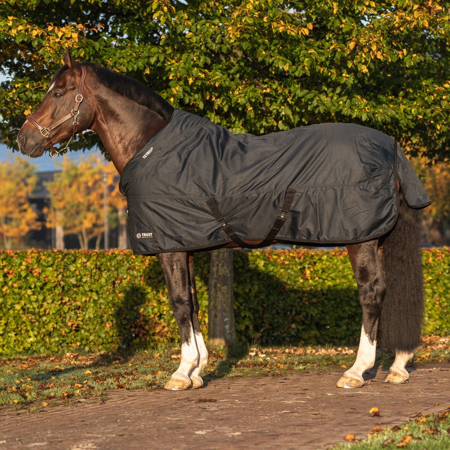 Tetris turnout rug from Trust equestrian