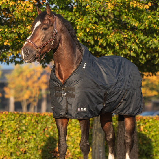Trust Tetris Outdoor Horse Blanket