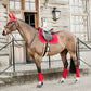 Kentucky horsewear velvet set red