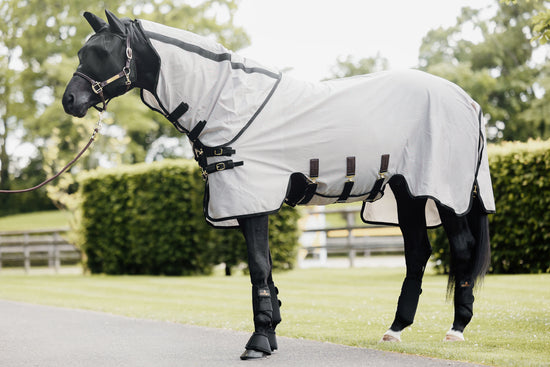 Best fly rug with belly protection