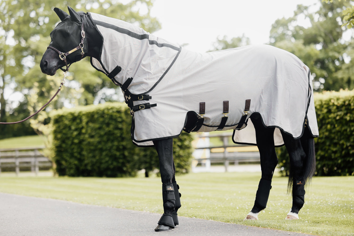 Combo fly rug with belly protection