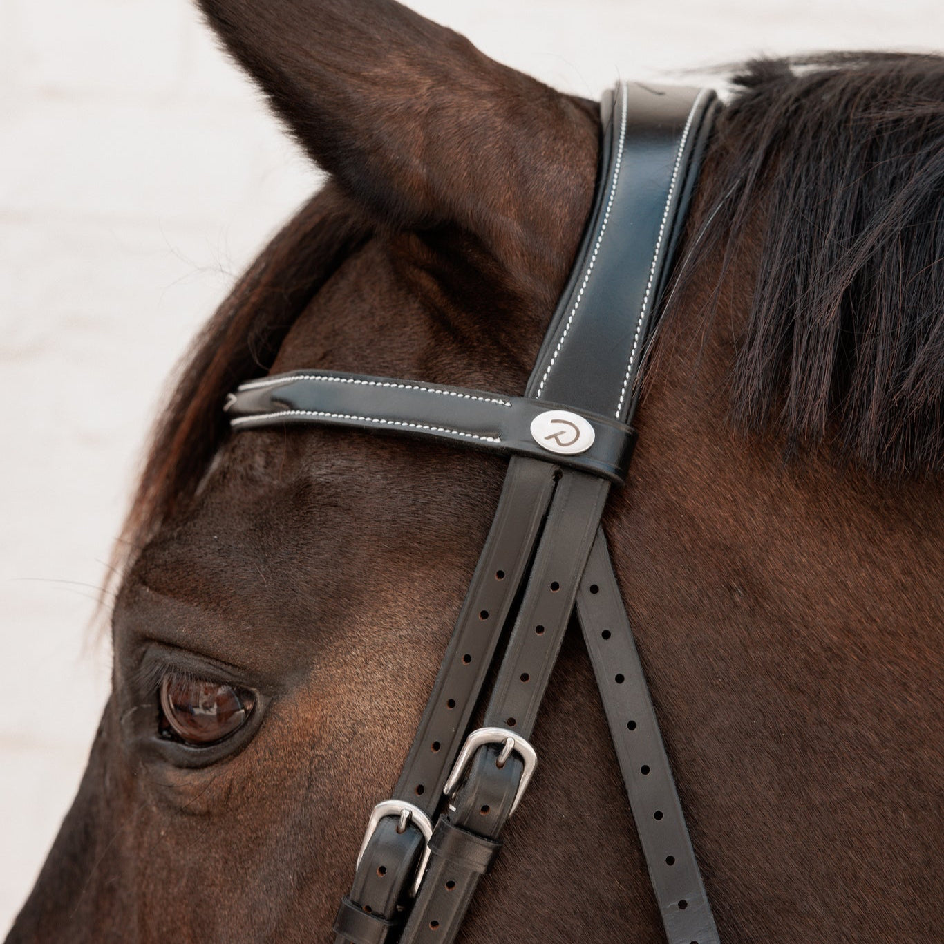 Cavesson noseband bridle with anatomic headpiece