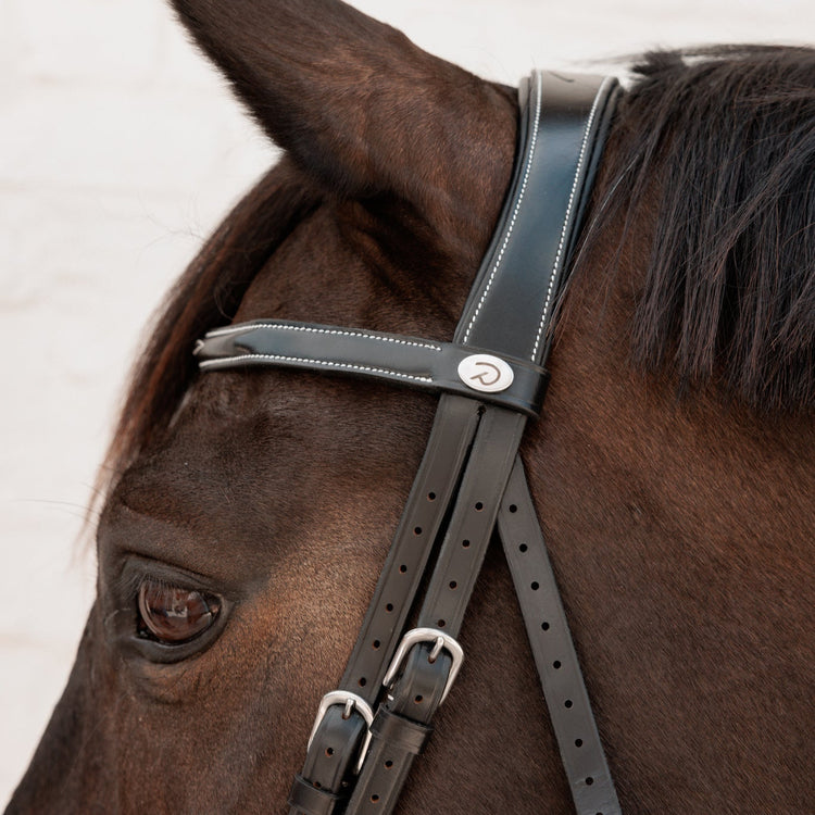 Cavesson noseband bridle with anatomic headpiece