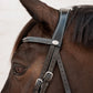 Cavesson noseband bridle with anatomic headpiece
