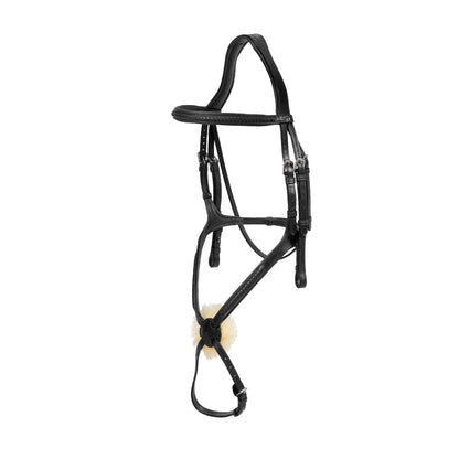 Best Mexican noseband bridle