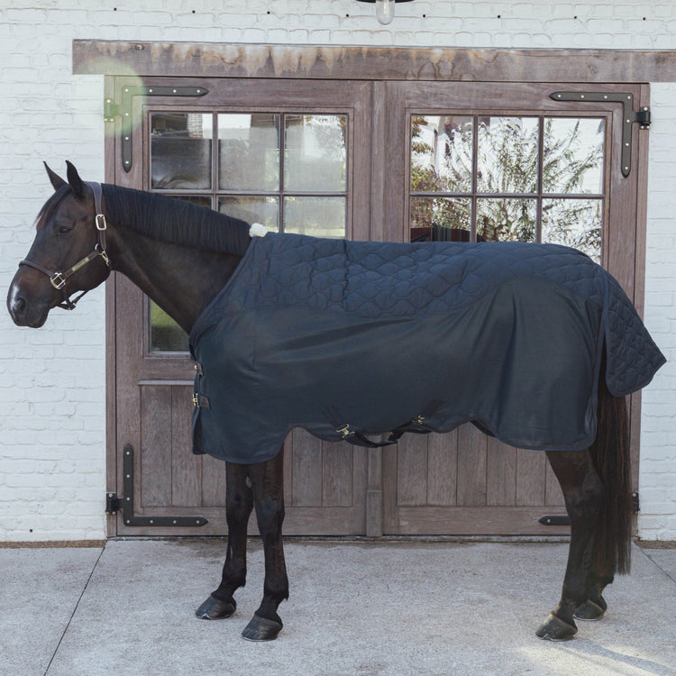 Lightweight Travel blanket for horses