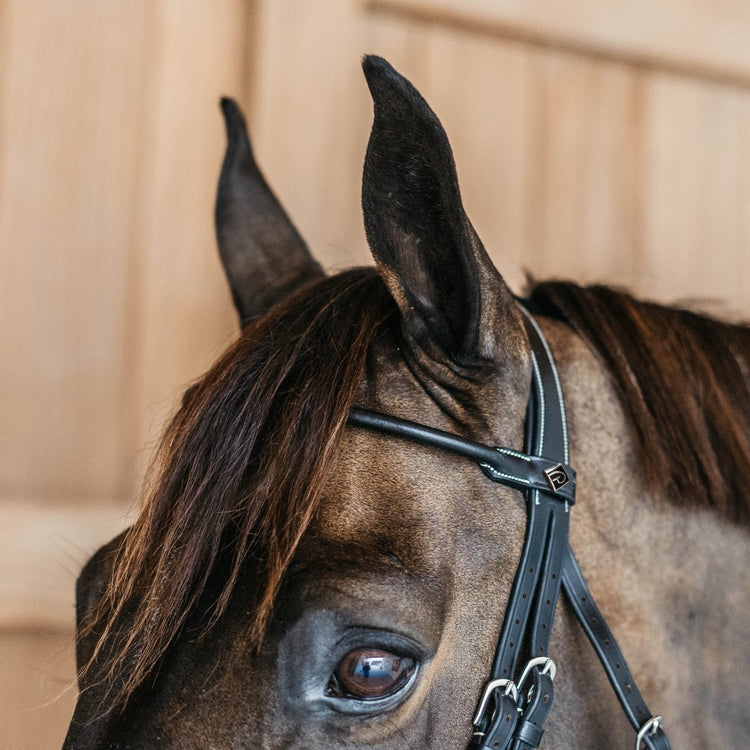 best bridles with round leather