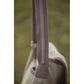 Equestrian canvas shoulder bag with premium leather accents and a practical versatile design.