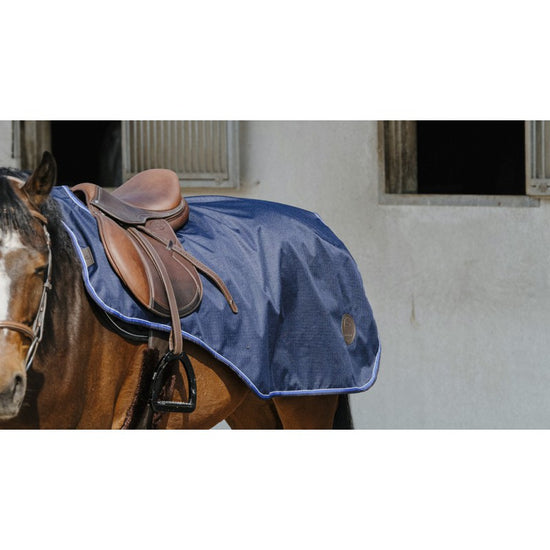 Equi-theme rug