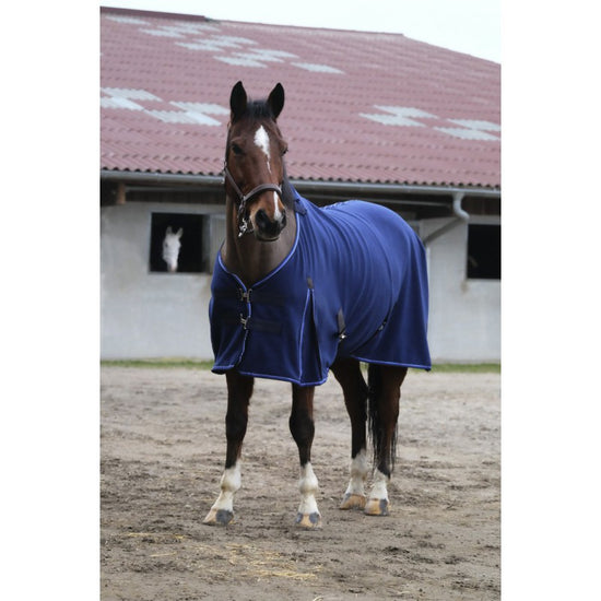 Equi-theme fleece sheet