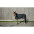 Ultra-light cooler rug for horses