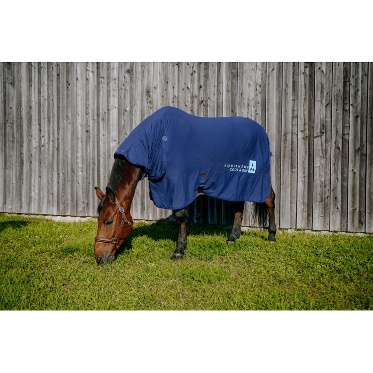 Cooling sheet with fixed neck cover for horses