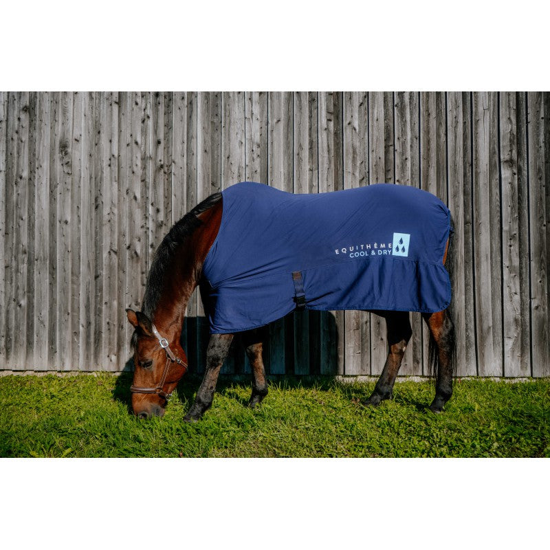 Cooling sheet for horses by Equitheme