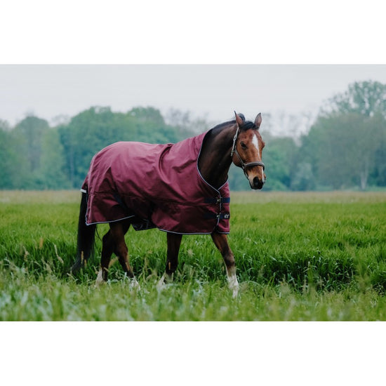 Tyrex 1200D Turnout Rug with High Neck Burgundy