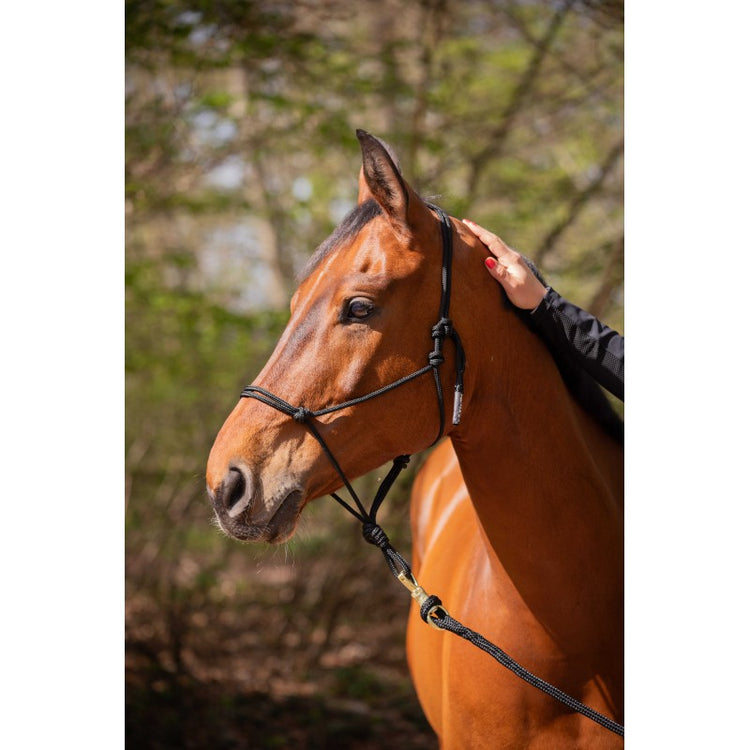 Ethological halter adjustable knot system