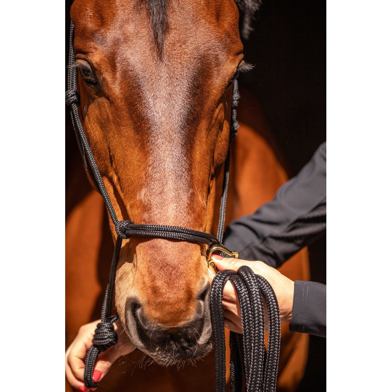 Rope halter for natural horsemanship training