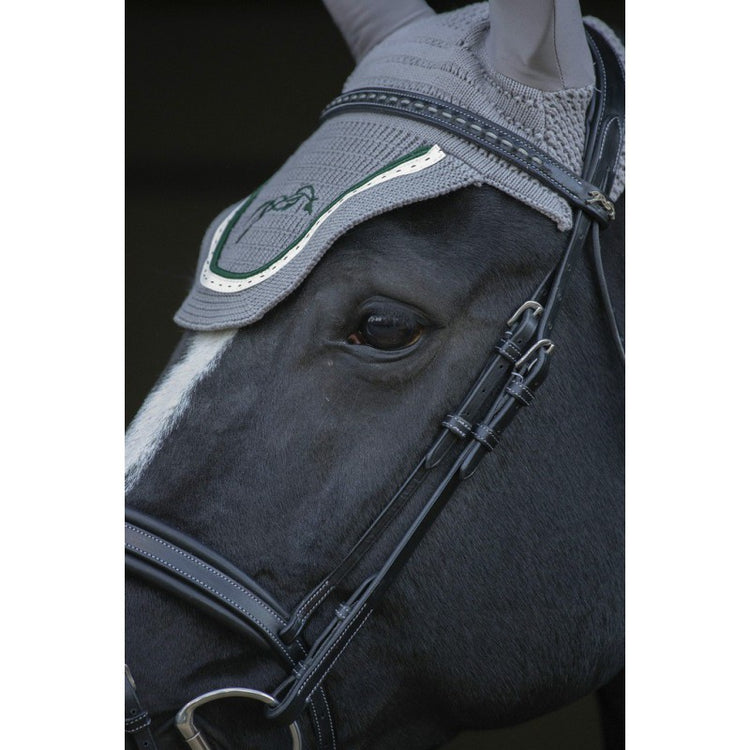 Penelope Daily equestrian bridle with classic styling.