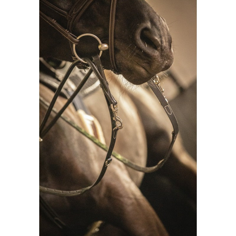 German martingale training system for ridden horse exercises.