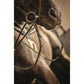 German martingale training system for ridden horse exercises.