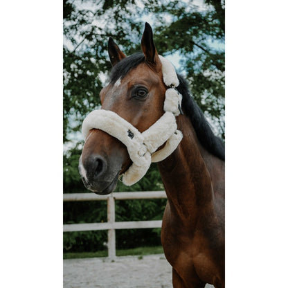 Comfortable fleece-lined halter for grooming use white