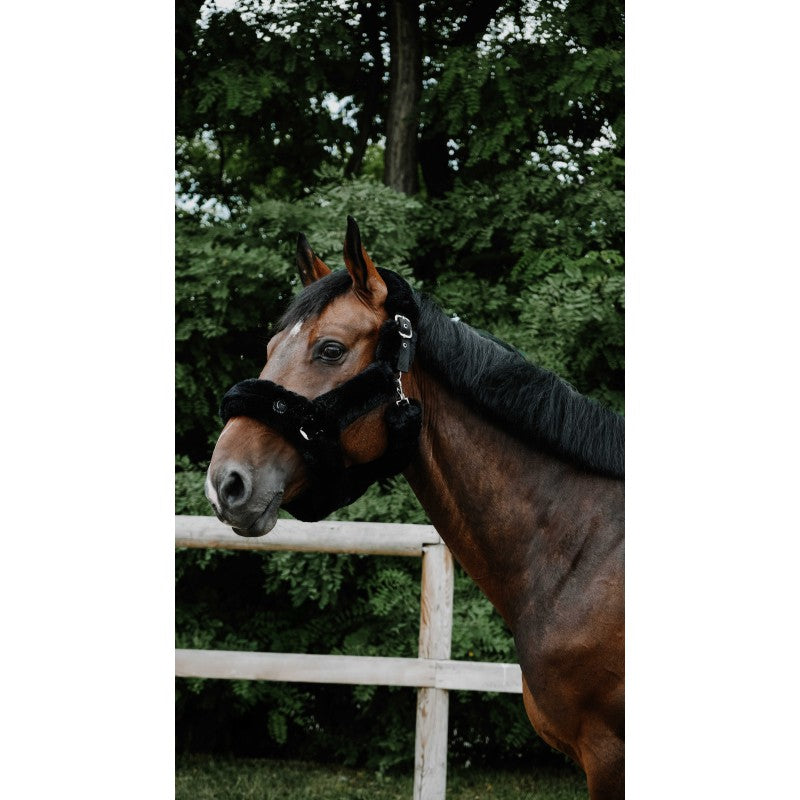 Durable everyday padded halter for horses