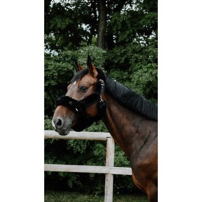 Durable everyday padded halter for horses