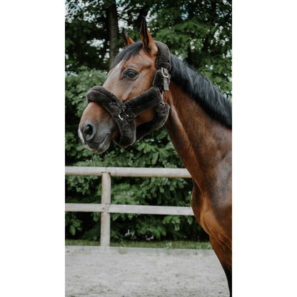 Equitheme Snuggy horse halter with embroidery brown