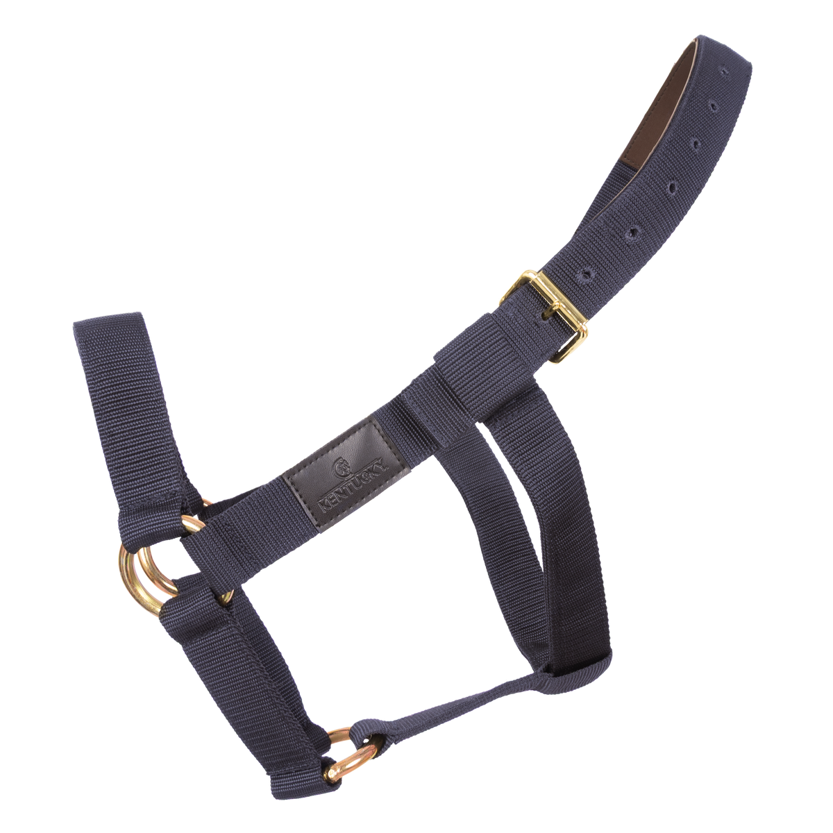 Heavy-duty horse halter with artificial leather reinforced headpiece