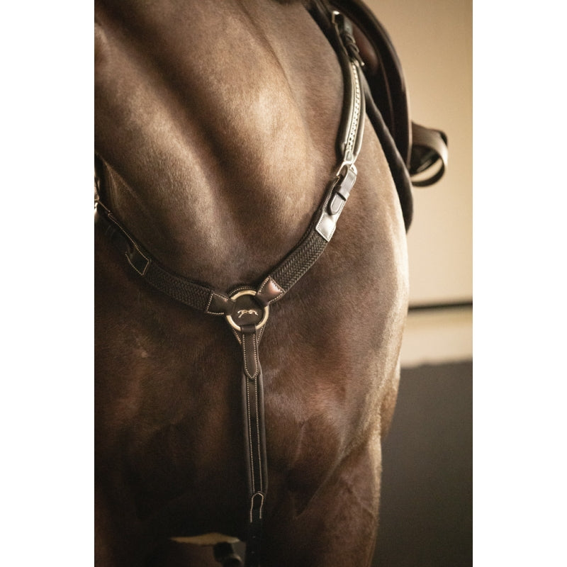 Horse breastplate and martingale combination with convertible design.