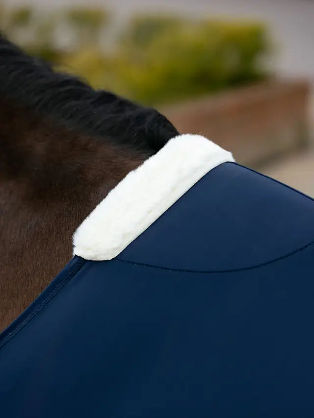 Comfortable protector under horse rugs